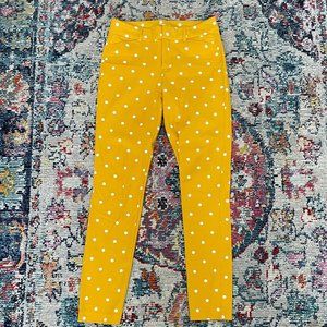 High-Waisted Pixie Ankle Pants - Size 2 Tall